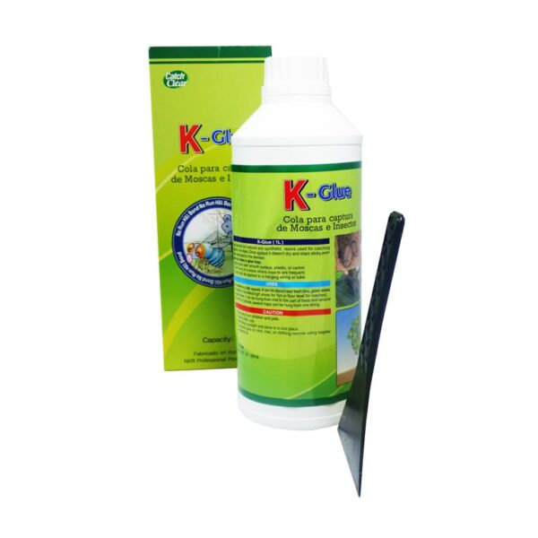 K-GLUE