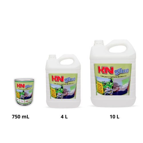 COLA ENTOMOLÓGICA KN- GLUE